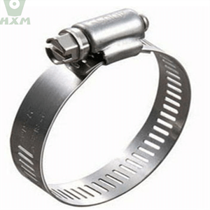 Commodity - stainless steel clamp